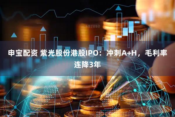 申宝配资 紫光股份港股IPO：冲刺A+H，毛利率连降3年
