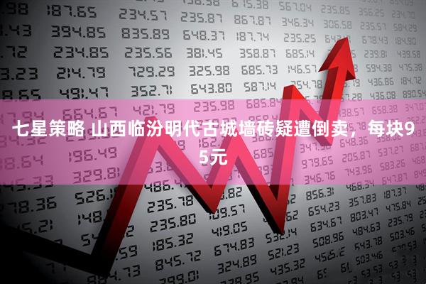 七星策略 山西临汾明代古城墙砖疑遭倒卖，每块95元