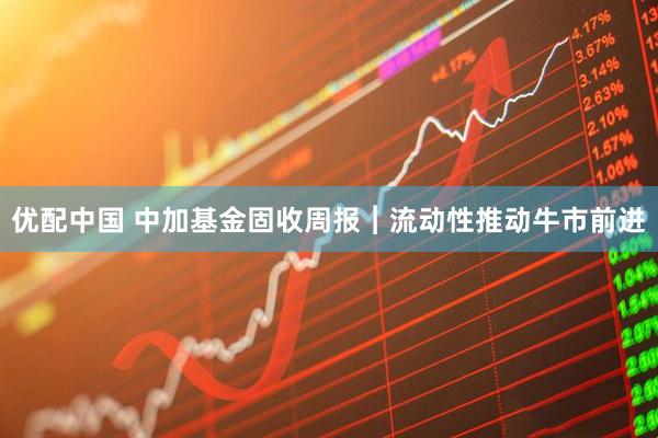 优配中国 中加基金固收周报︱流动性推动牛市前进