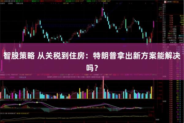 智股策略 从关税到住房：特朗普拿出新方案能解决吗？