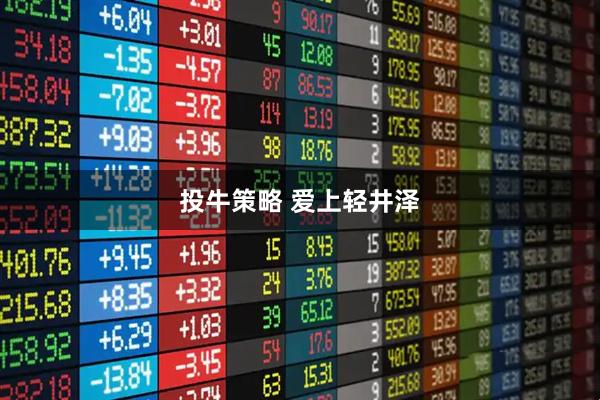 投牛策略 爱上轻井泽